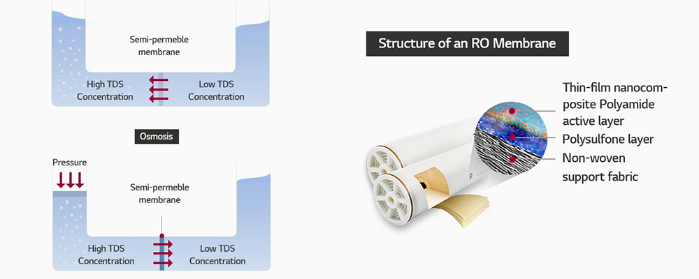 1. Принцип работы мембраны Ro
