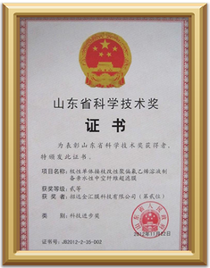 Система управления охраной труда и промышленной безопасностью