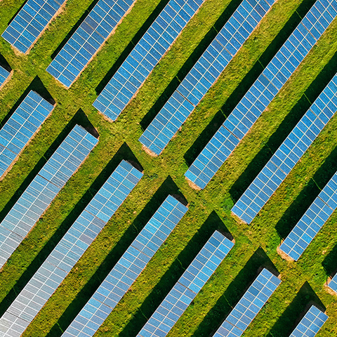 приложение (1)