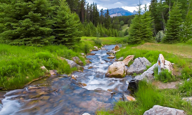 Природная вода